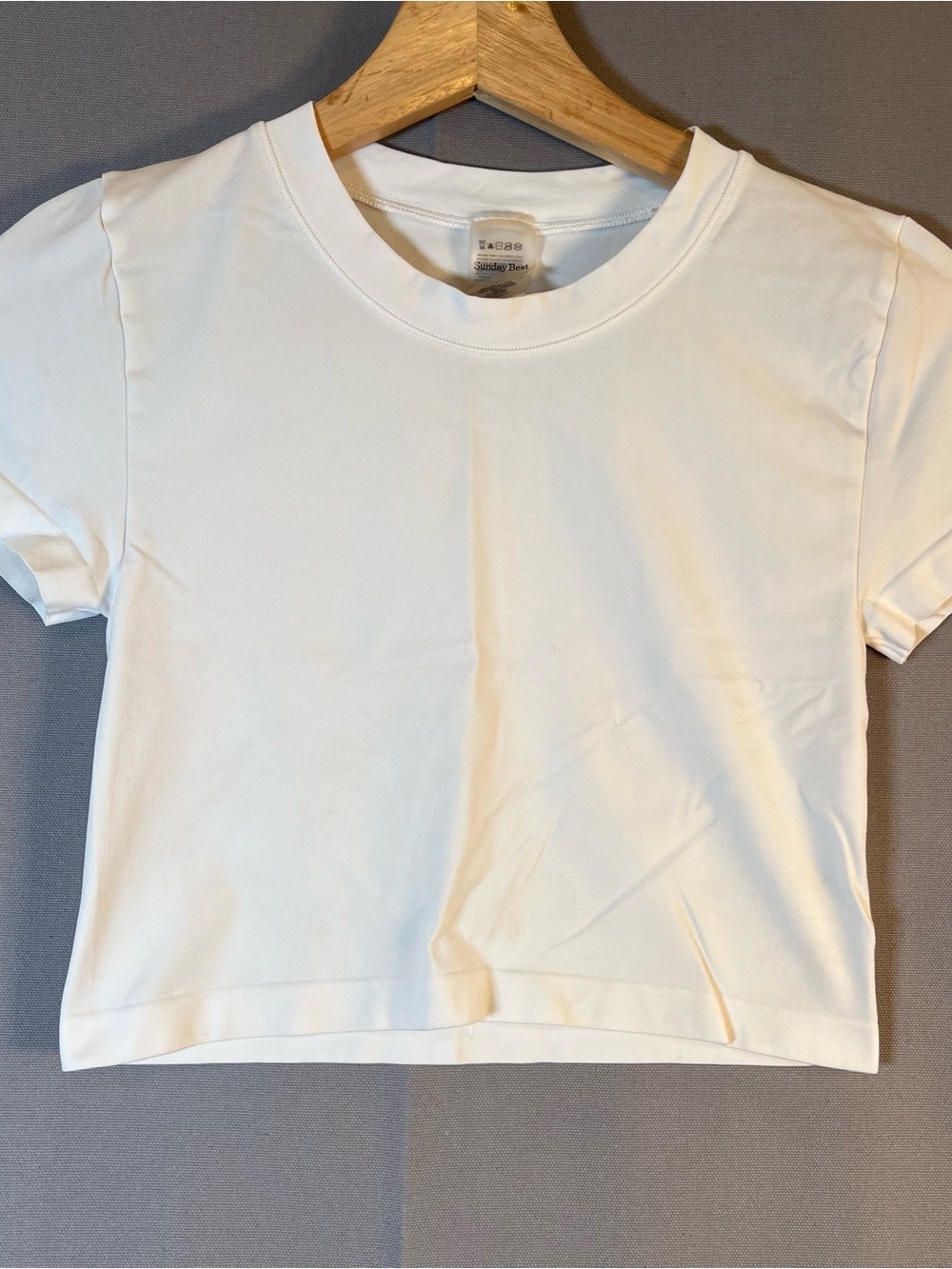 Aritzia Sunday Best Baby Tee Cropped White Crewneck Fitted Stretch Basic